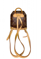 Louis Vuitton Monogram Backback