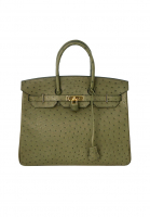 Hermès Birkin 35 Canopee Ostrich Bag