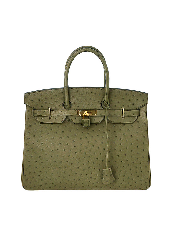 Hermès Birkin 35 Canopee Ostrich Bag