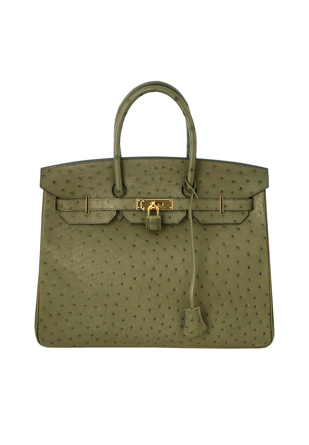 Hermès Birkin 35 Canopee Ostrich Bag