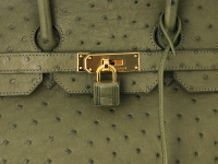 Hermès Birkin 35 Canopee Ostrich Bag