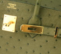 Hermès Birkin 35 Canopee Ostrich Bag