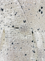 Balenciaga Silver Jacket