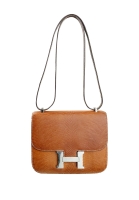 Hermès Constance 18 Cremè de Apricot Salvator Lizard Bag