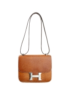 Hermès Constance 18 Cremè de Apricot Salvator Lizard Bag