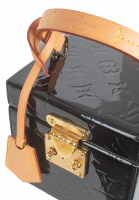 Louis Vuitton Black Bleecker Box Bag