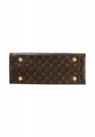 Louis Vuitton Monogram Olympe Bag