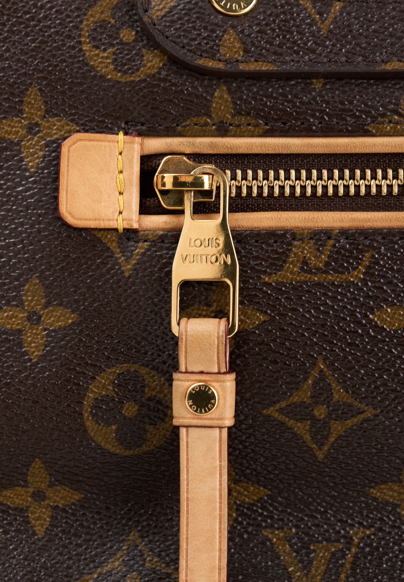 Louis Vuitton Monogram Olympe Bag