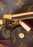 Louis Vuitton Monogram Olympe Bag