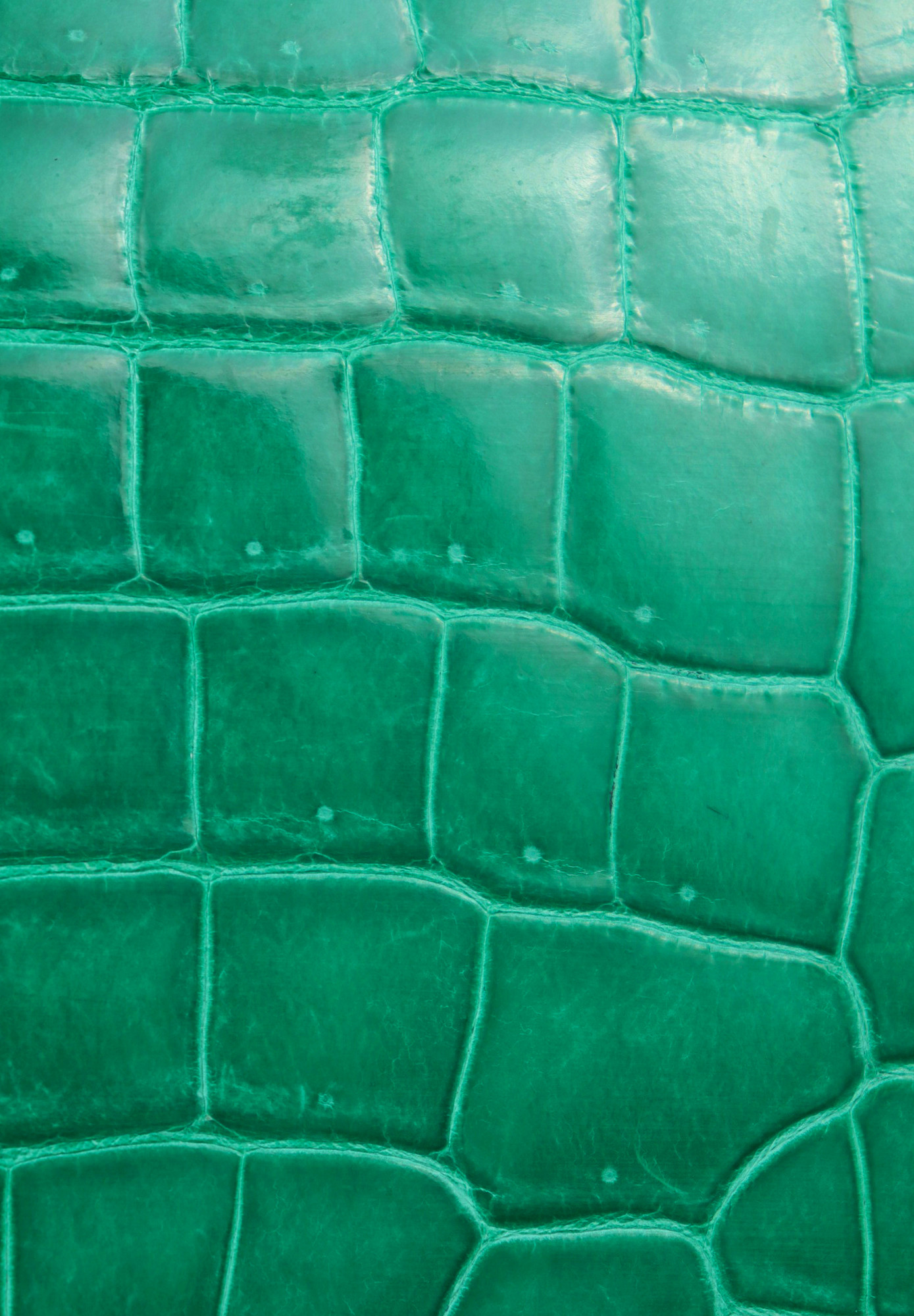 Lady Dior Crocodile Bag