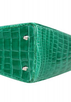 Lady Dior Crocodile Bag