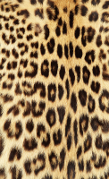 Lardillat Freres Ocelot Fur Coat