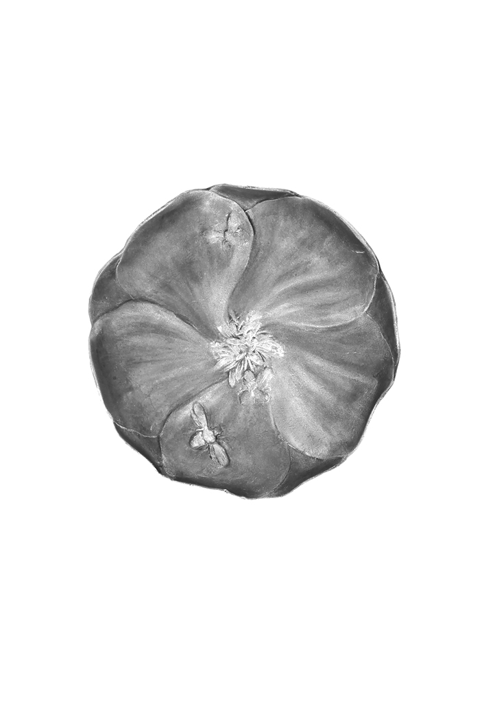 Kayserzinn Bees And Flower Tray