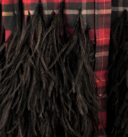 №21 Feathers Shirt