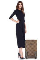 Louis Vuitton Damier Ebene Luggage Rolling Bag