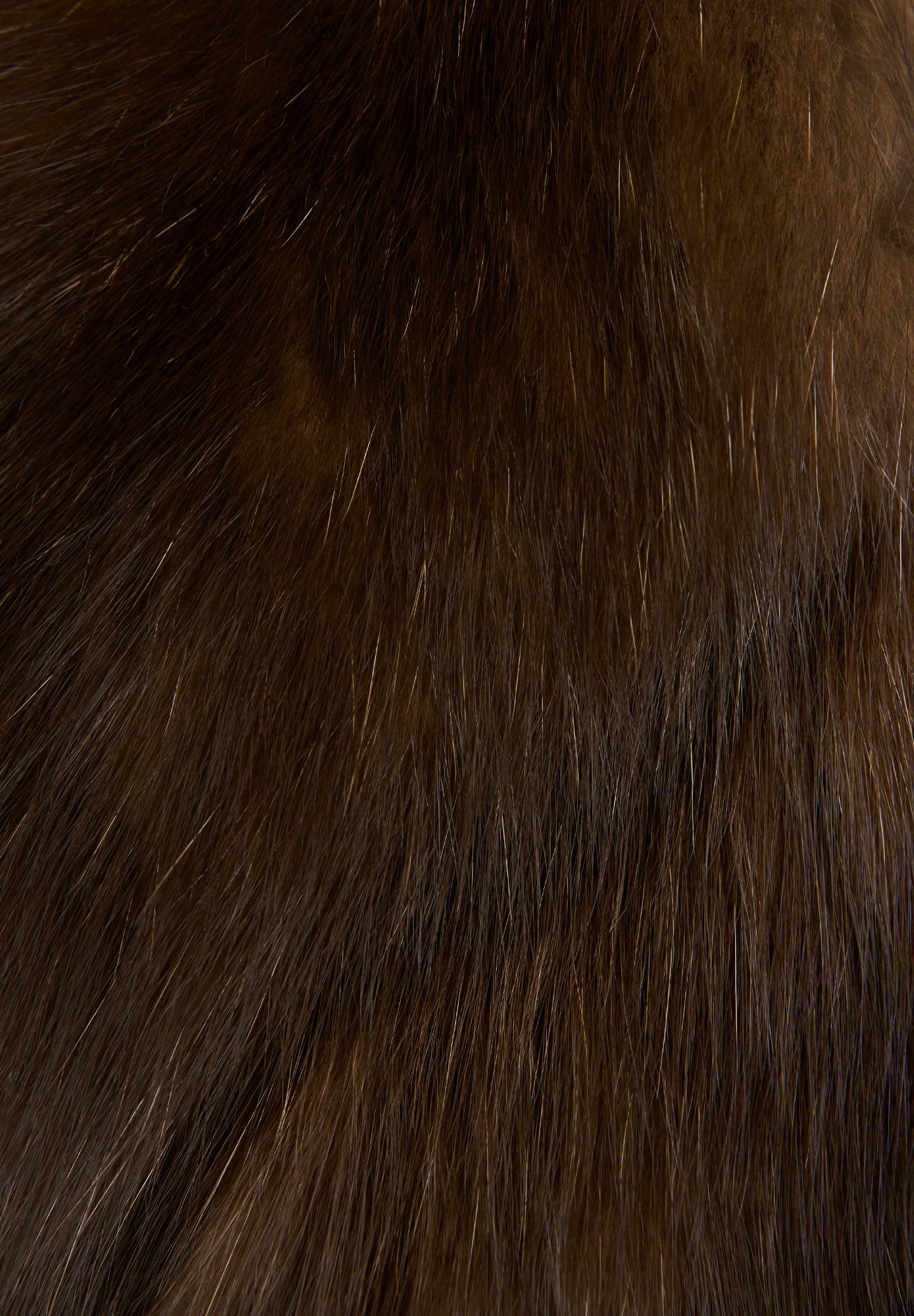 Fendi Coat With Mink Collar