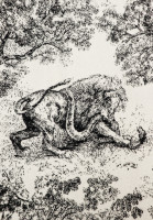 Christian Dior Toile de Jouy Cashmere Scarf