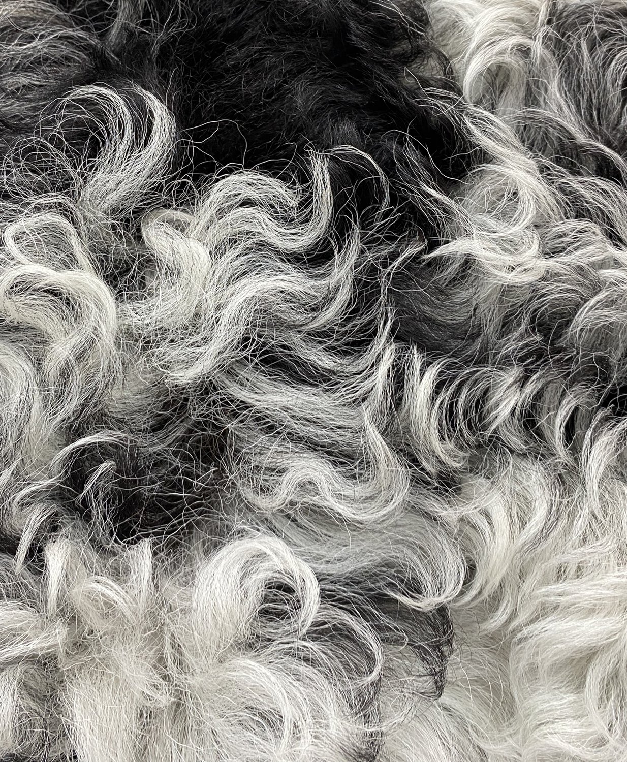 Miu Miu Black And White Shearling Coat