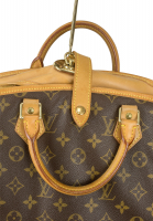 Louis Vuitton Monogram Suit Cover Bag